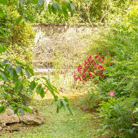 Disponible - 5mn Paris - Gare A Pied - Jardin Terrasse - 6 Pers - Centre - Proche Tous Commerces Et Transports - Wifi